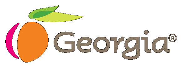  Georgia to connect six Indian cities with flights 