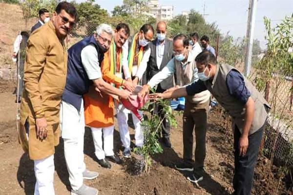 Chief Minister Chouhan planted Gulmohar and Khirni saplings