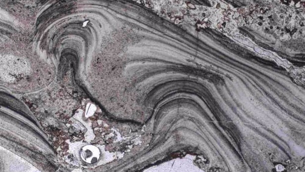  Life on land originated 580 million years earlier than thought 