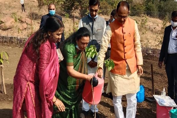Chief Minister Chouhan planted Pinkcassia and Peepal saplings in Smart Garden