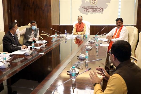 Bamboo mission to be implemented in the field of agriculture in the state – CM Chouhan