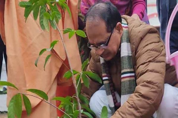 CM Chouhan plants Rudraksha plant in Haridwar