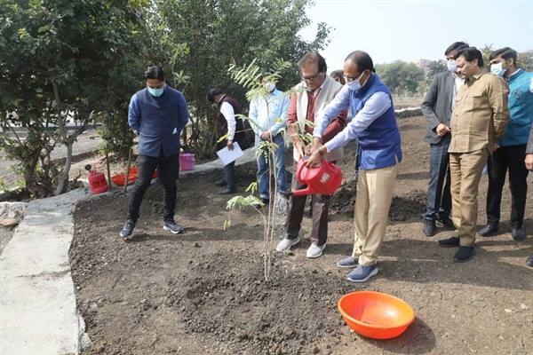 CM Chouhan plants Amla and Saptparni saplings