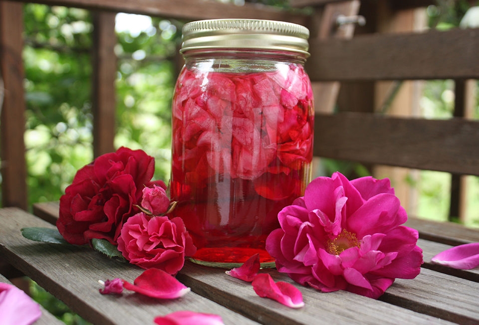 Rose water: Your skin doctor at home 