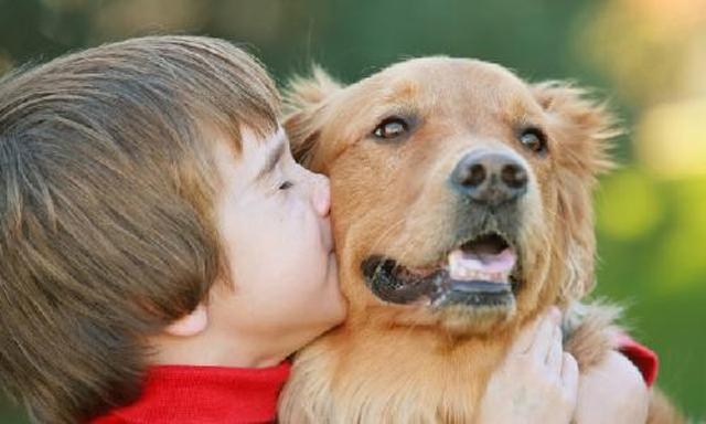  Pet dogs may help cut stress in kids: Study 