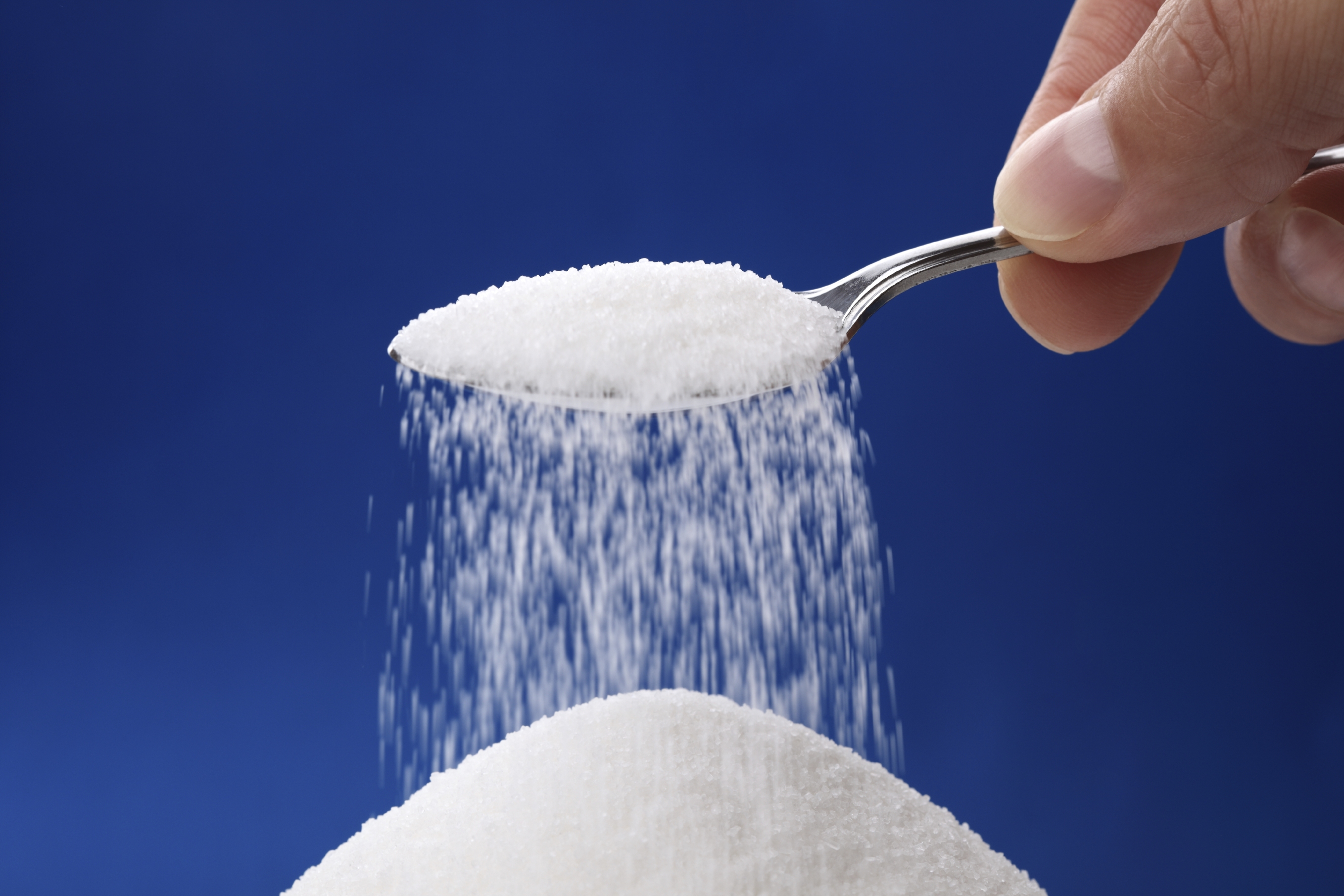  Common sweetener in low-calorie foods may increase obesity 