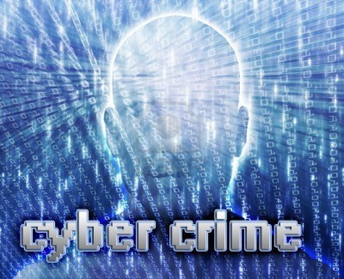  Awareness only way to fight cyber crime: Experts 