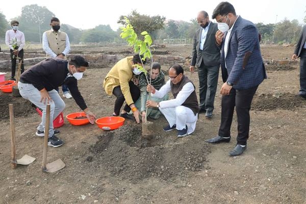 Chief Minister Chouhan planted Karanj and Arjun saplings in Smart Garden