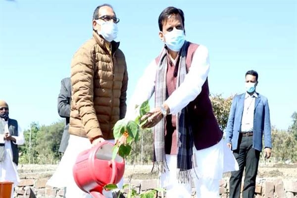 Chief Minister Chouhan planted sapling with former minister Rajendra Shukla