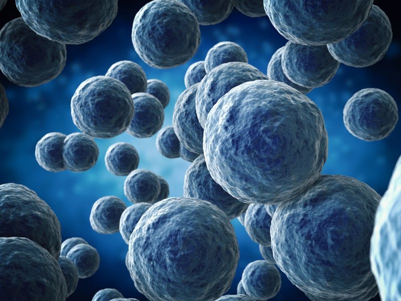  Antibiotic-resistant microbes evolved prior to dinosaurs 
