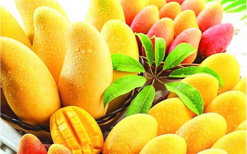 The King of Fruits