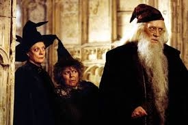  Miriam Margolyes done with  Harry Potter  