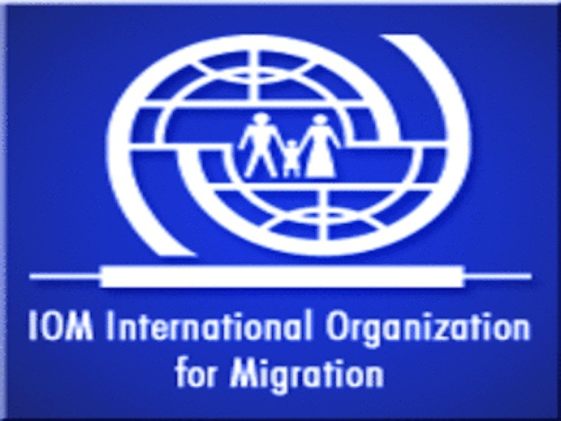  Almost 54,000 boat migrants reach Europe: IOM 
