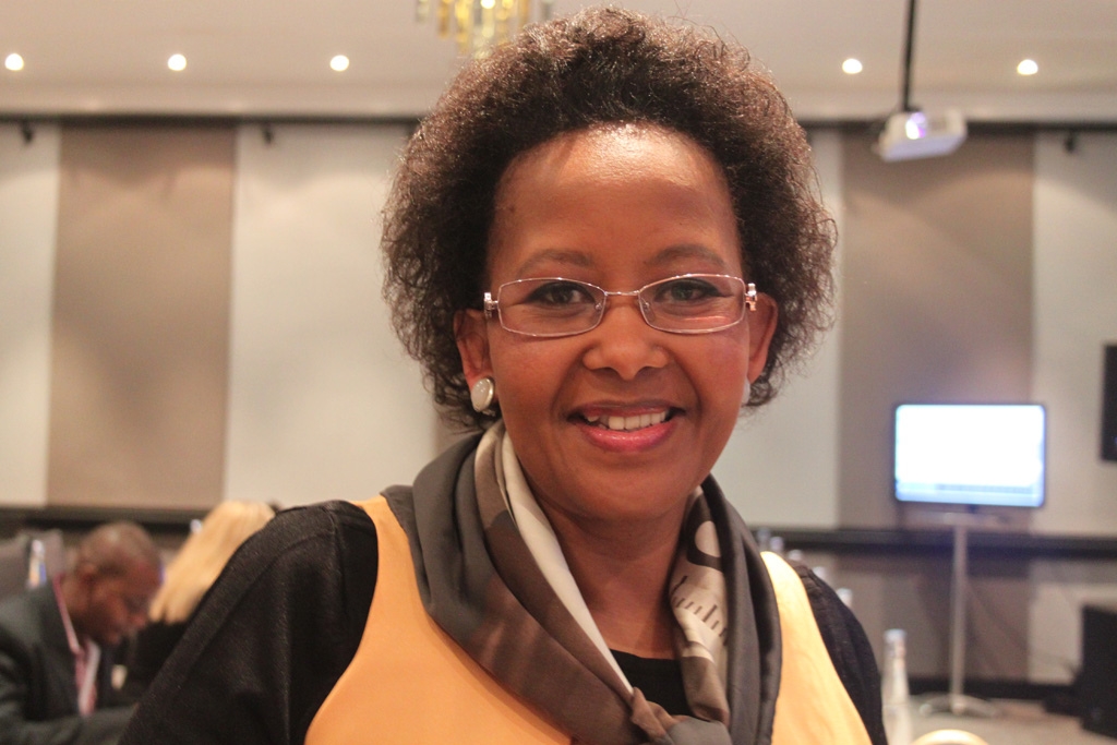  INDABA 2017: Africa beckons Indian tourists (Special to IANS) 