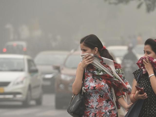  Low hedges can reduce air pollution in cities more effectively 