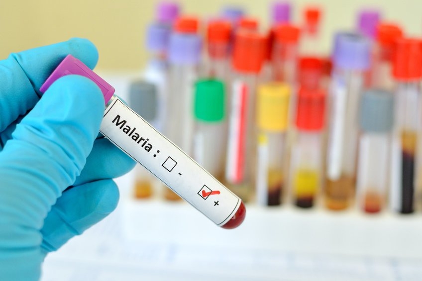  Gene variant reduces risk of severe malaria by 40%: Study 