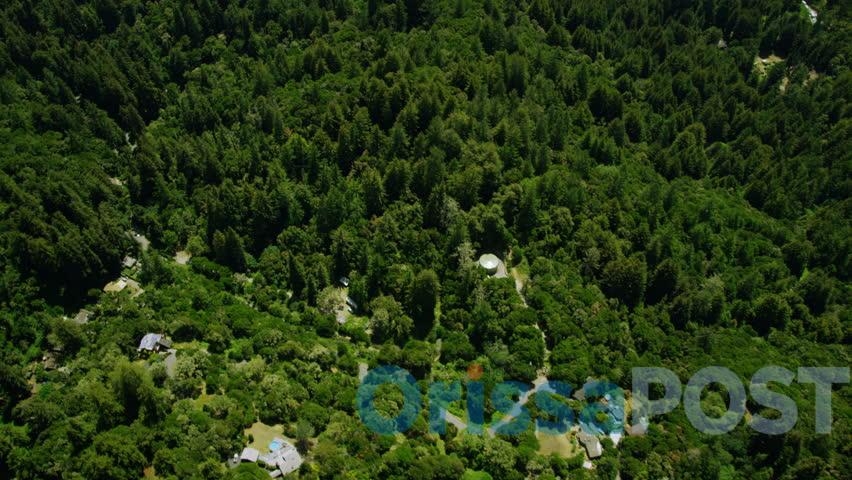  India will lose 2,305 sq km forest cover by 2025: Study 