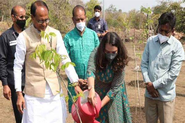 CM Chouhan Plants Saplings of Karanj and Gulmohar
