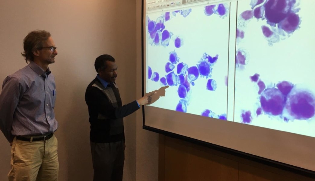 Blood  master switch  may help end platelet shortages 