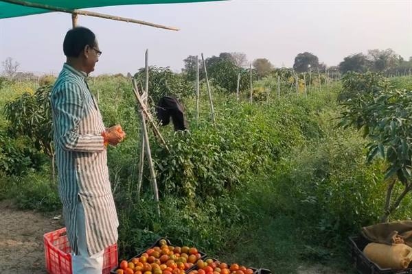 Organic Farming Is Best For Humans - Chief Minister Chouhan
