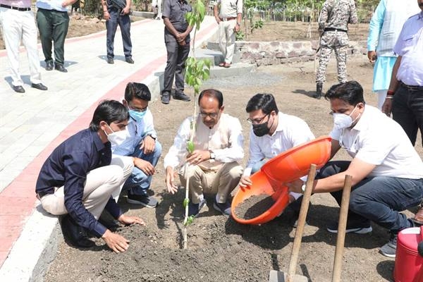 Chief Minister Chouhan Planted Pink Cassia and Karanj Saplings in Smart Garden