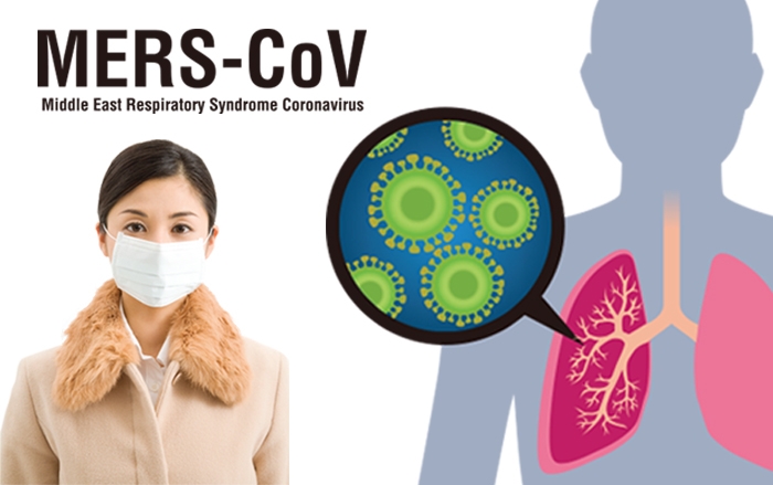  Engineered proteins could help combat viral infections 