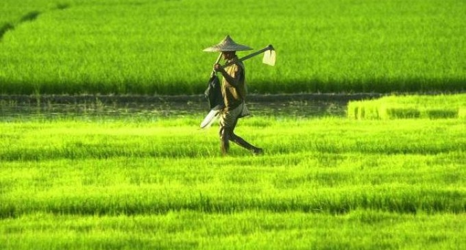  Arunachal to provide zero interest crop loan to marginal farmers 