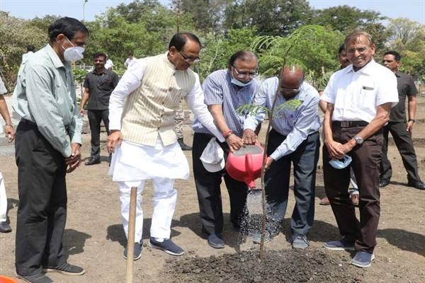 Chief Minister Chouhan Planted Gulmohar and Saptaparni Saplings