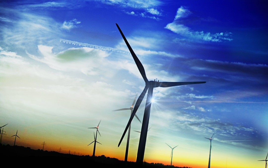  Wind power has seen steady growth in India: Official 