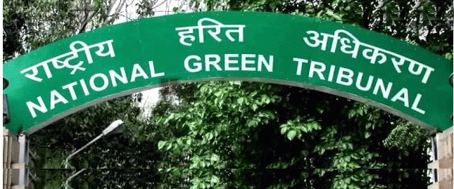  Ensure water for blackbucks, NGT tells Haryana government 