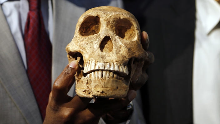  First human ancestors evolved in Europe, not in Africa: Study 