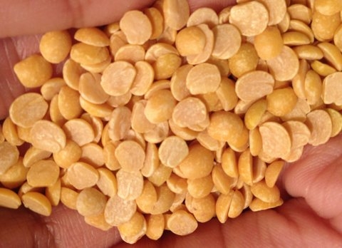  Decoding Arhar dal s genetic secrets can boost yield: Expert 