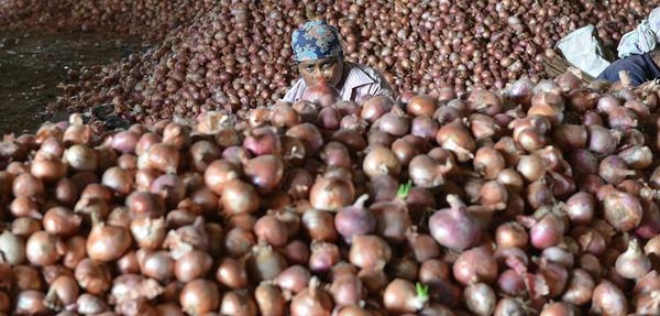  Odisha forms team to check distress onion sale 