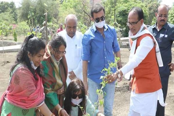 Chief Minister Chouhan plants saplings in Smart City Park