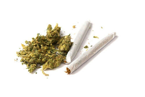  Marijuana compound may cut seizures in rare epilepsy disorder 