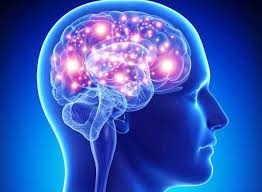  Our brain can spot disease in others to avoid sick people 