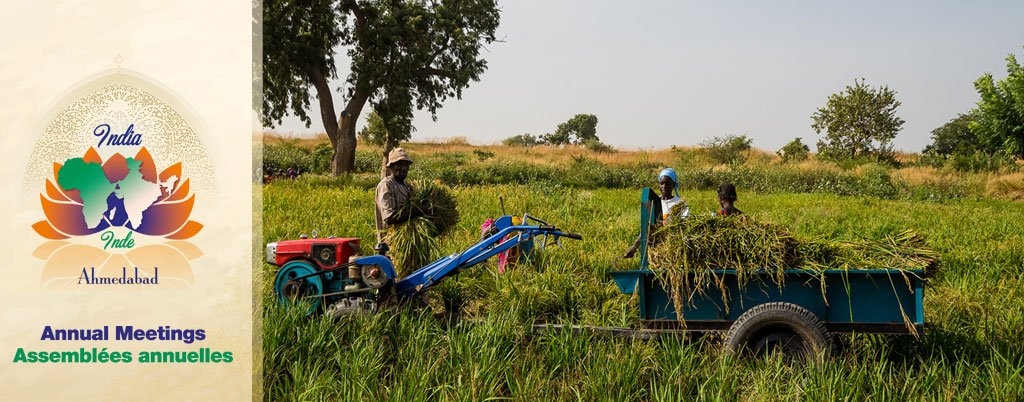  Africa seeks agricultural transformation with India s help 