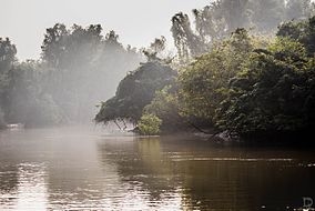  Part of Odhisha s Balukhanda-Konark Sanctuary declared eco-sensitive zone 