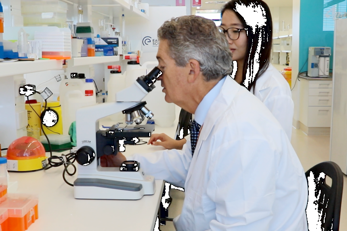  Australian researchers use silkworms to repair damaged eardrums 