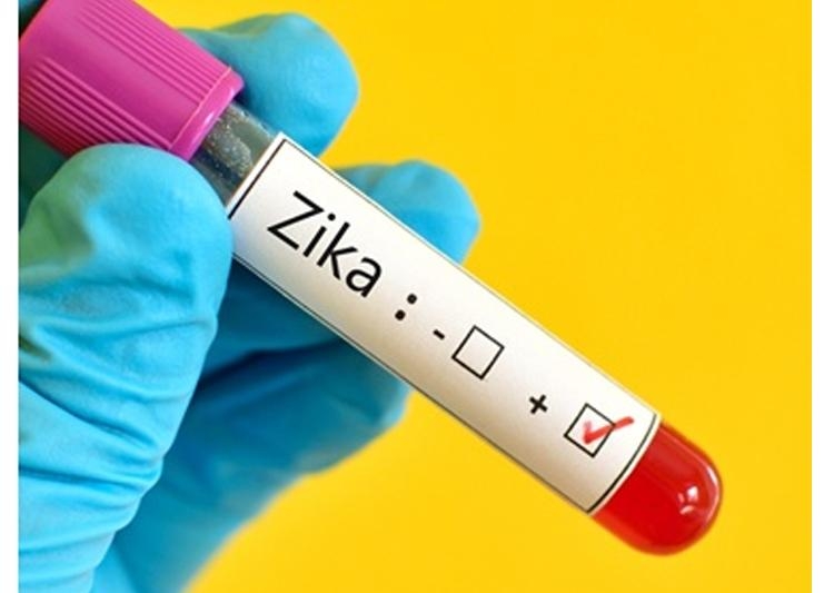  Zika virus: State government, Centre didn t inform Ahmedabad civic body 