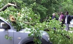  Storm kills 11 in Moscow 