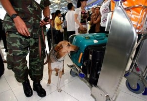  Two foreign journalists arrested in Thailand 