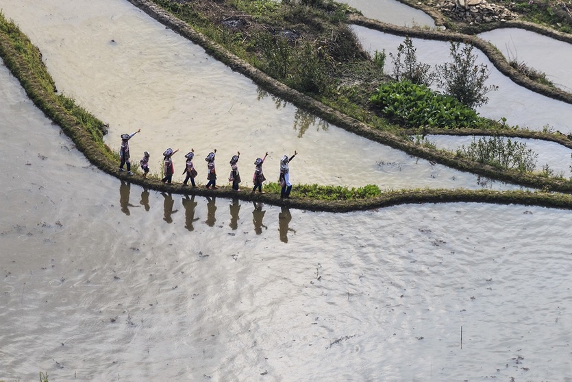  Rice domesticated in China 10,000 years ago 