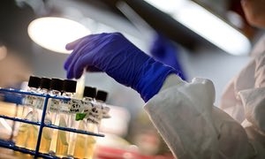   Magical  antibiotic modified to beat bacterial resistance 