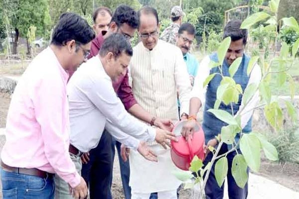 CM Chouhan planted saplings of Banyan, Neem and Karanj