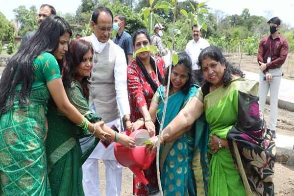 CM Chouhan plants Banyan, Neem and Parijat saplings