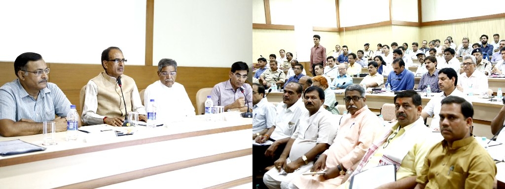 Over 6 crore saplings to be planted in one day in M.P.