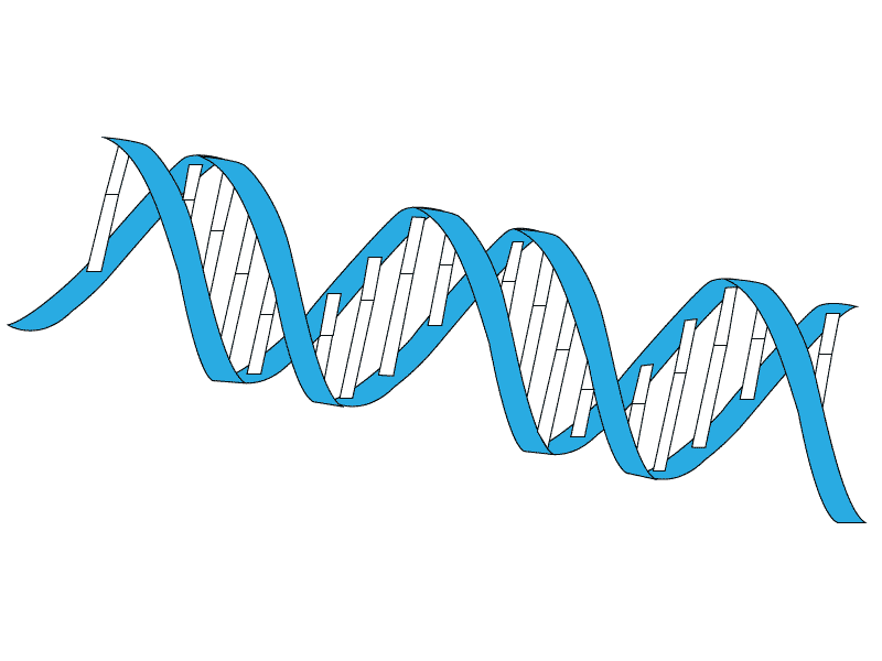  Over 100 genes linked to memory identified 