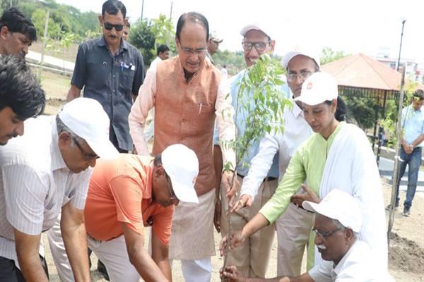 CM Chouhan plants Neem, Banyan and Moulshree saplings
