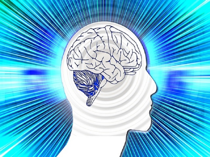  Brain s immune cells linked to Alzheimer s, schizophrenia 